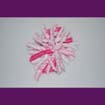 JEC-LPDWBP-26