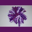 JEC-LPP-13