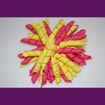 JEC-YPG-09