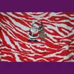 Santa & Reindeer Dress